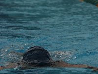 IMG 5568  Stringrays Swim Meet