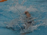 IMG 5573  Stringrays Swim Meet